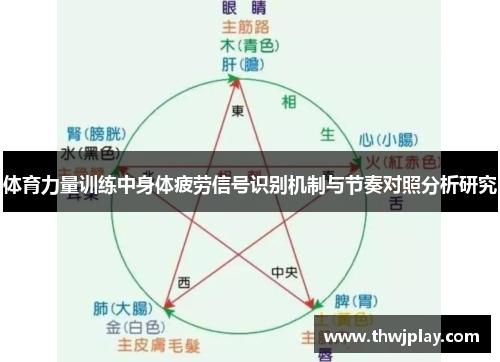 体育力量训练中身体疲劳信号识别机制与节奏对照分析研究